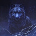 Shadow wolf.jpg