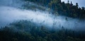 Мир-Туманные леса у Моря Мертвых.jpg